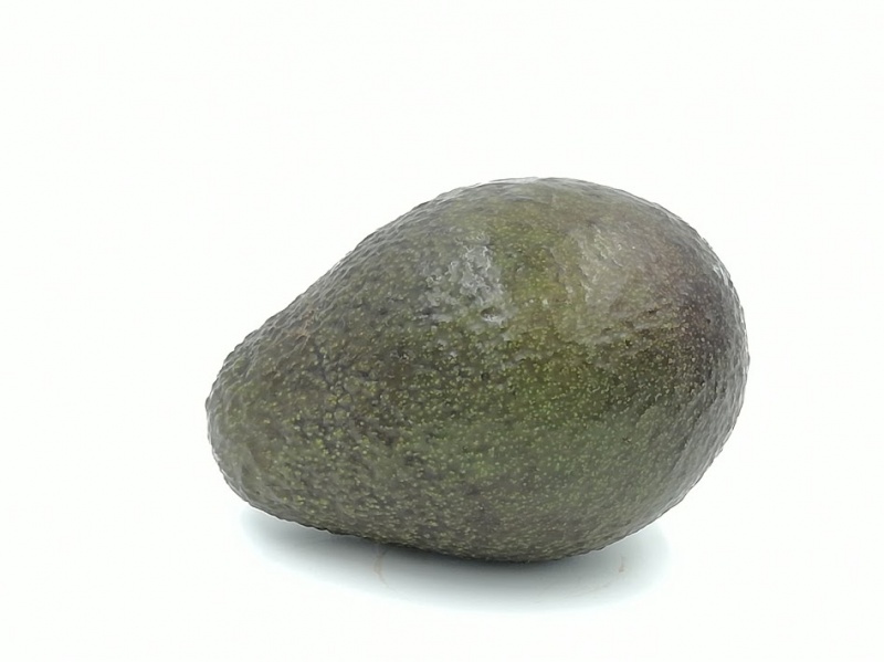 avocado-18