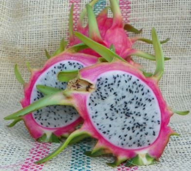 pitaya