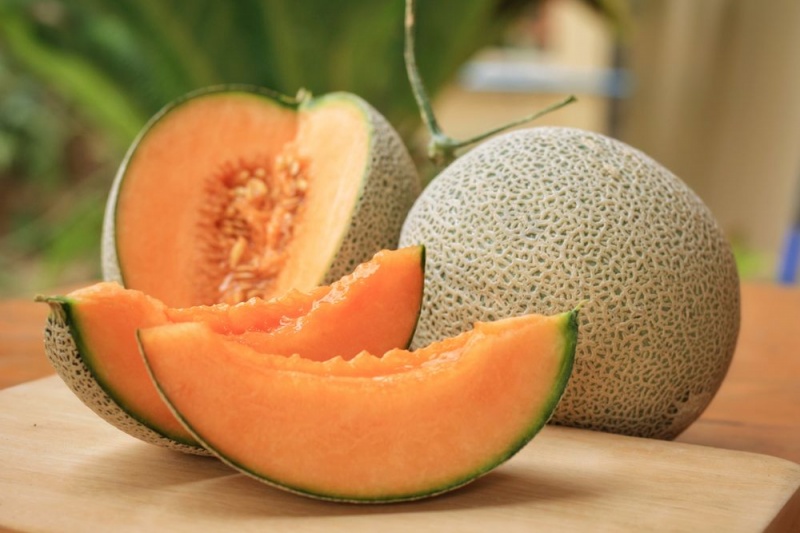 muskmelon-cover-1