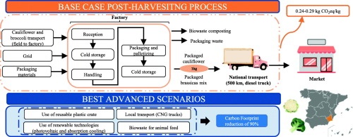 graphical-abstract-upct