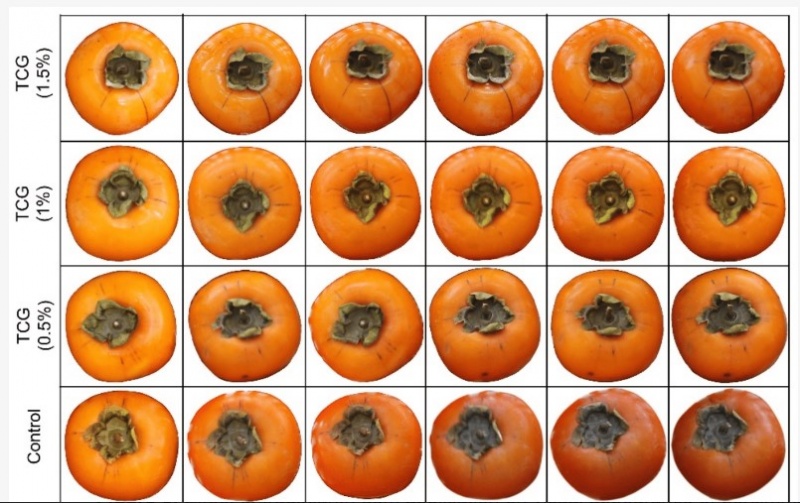 fig-5-persimmon