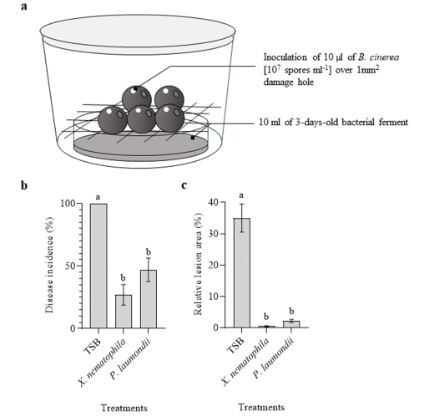 fig-2-biocontrol