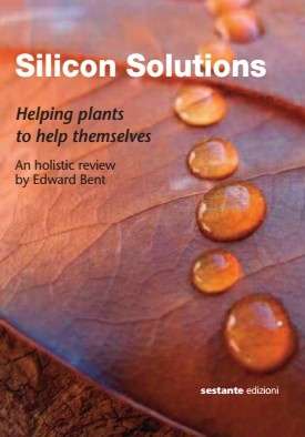 silicon-solutions