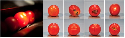 cherry-tomato-vision