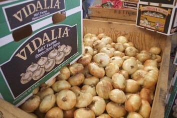 vidalia-onions-mt-farms