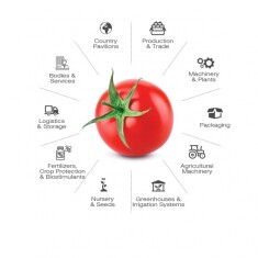 macfrutdigital-sectors-(1)-page-0001