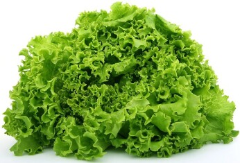 lettuce-1239155-640