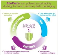 stepac