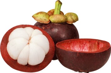 mangosteen-de-ricepl