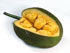 jackfruit-de-quickhealth-com