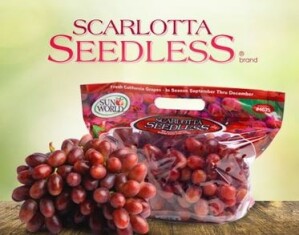 scarlotta-seedless-de-sun-world