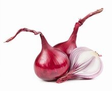 info-rv-onion-bulbs