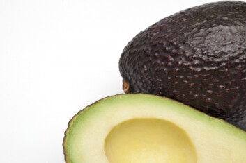 avocado-gut