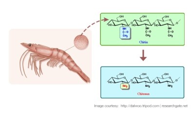 chitosan-axio-chitosan-process-innovation