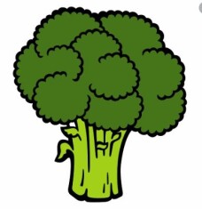 brocoli-verdura