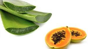 aloe-vera-y-papaya