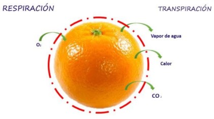 blog-de-fagro-(1)c