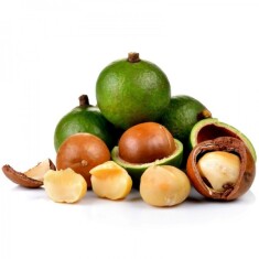 semillas-de-nuez-de-macadamia-macadamia-integrifolia