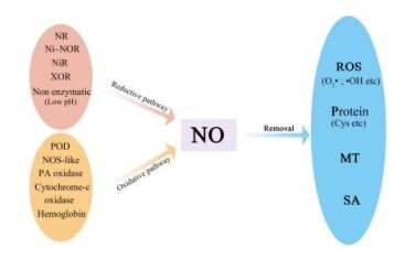 fig-1-de-no