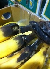 banana-black-end