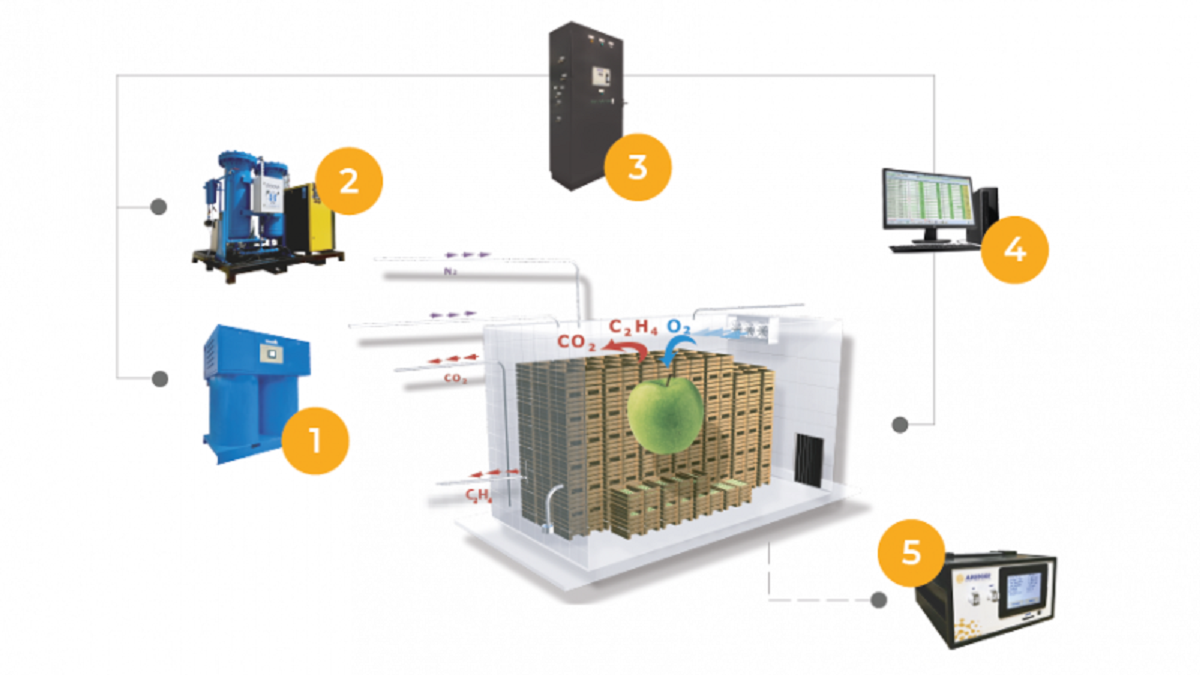 Atmosfera-controlada-ULO-XLO-para-la-conservacion-de-fruta-e1652180268525.png